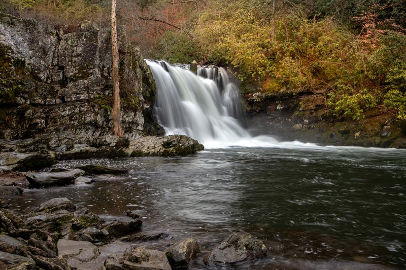 Abrams Falls Trail (Great Smoky Mountains NP, Cades Cove)
