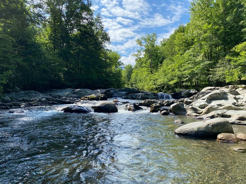 Do a Picnic and a River Stroll in the Greenbrier Area