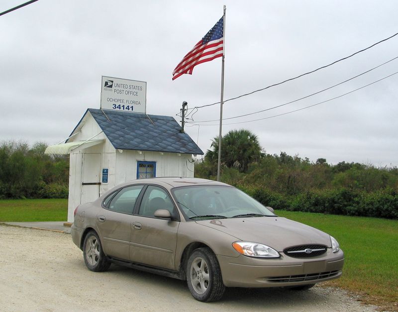 Photo Ops On Tamiami Trail