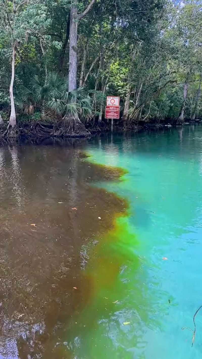 What You Will See At The Two-River Seam