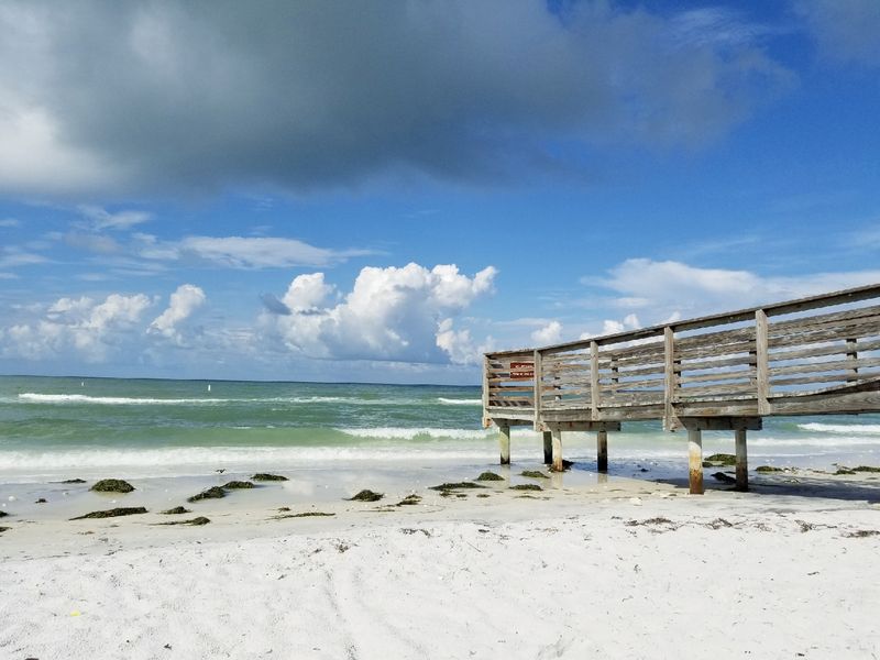 Honeymoon Island State Park Beach
