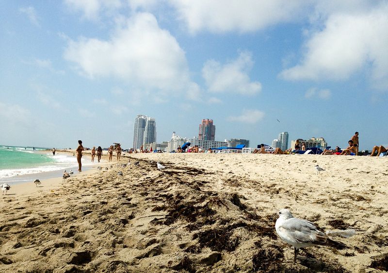 Miami Beach