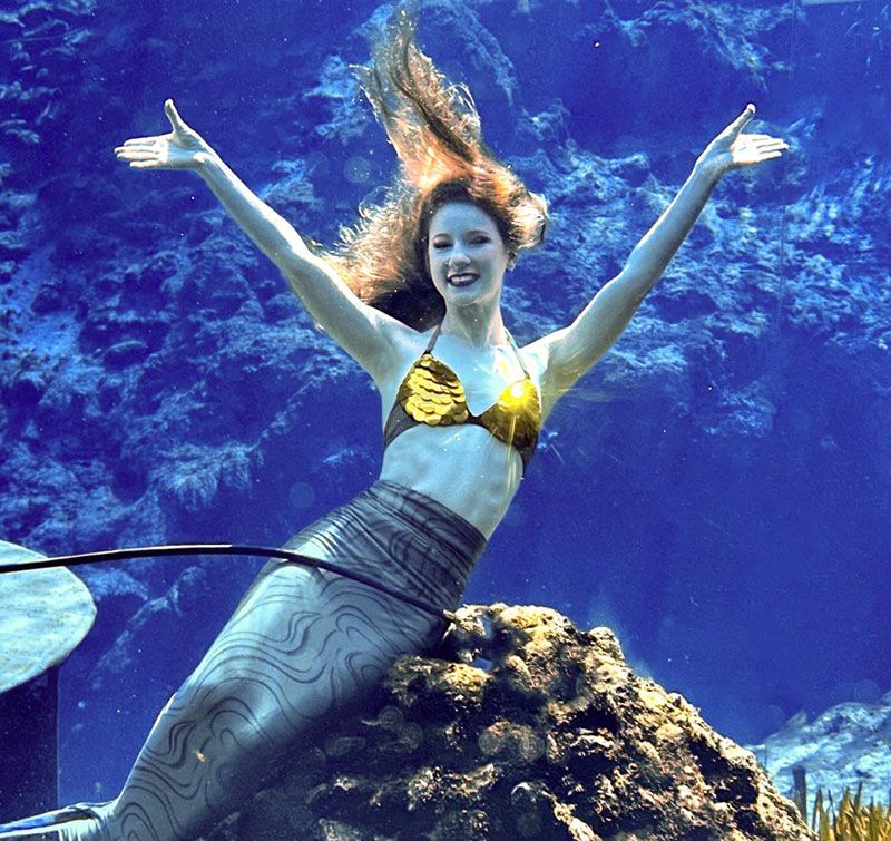 Witness Mermaid Performances at Weeki Wachee Springs