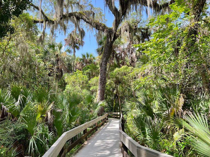 Erna Nixon Park Boardwalk (Melbourne)