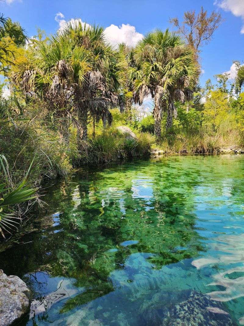 Econfina Creek Water Management Area