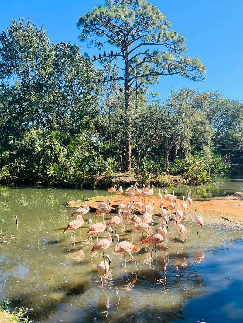 Family Fun: Train, Splash Pad, and Encounters