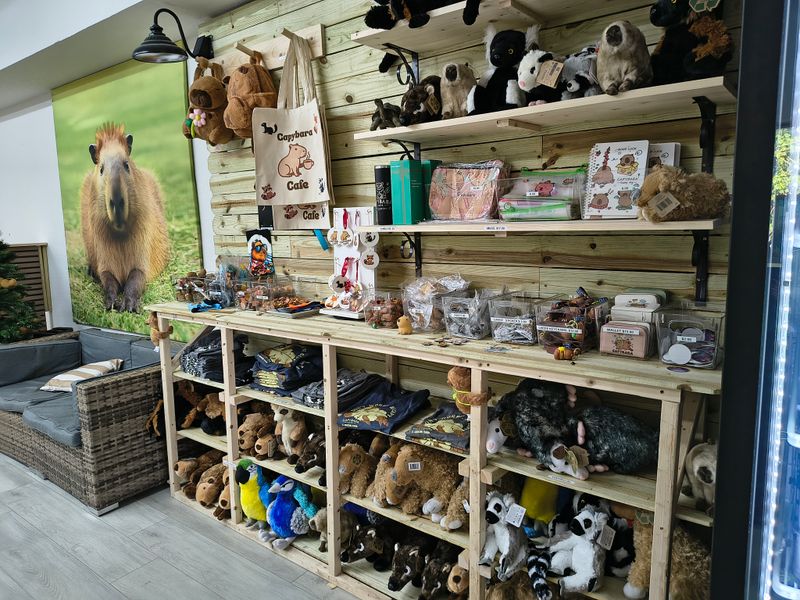 What's on the Menu at Capybara Café