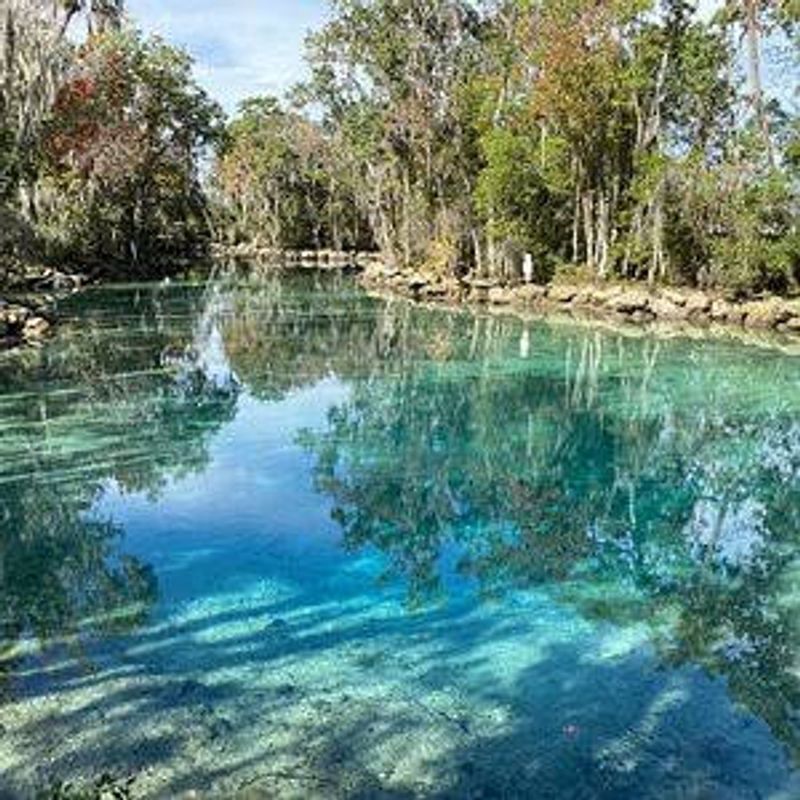 How To Navigate The Springs And Roped Swim Area