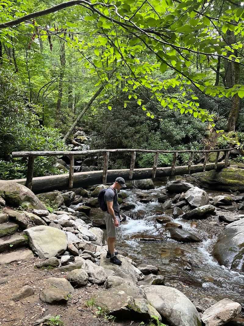Maddron Bald Trail (Great Smoky Mountains)