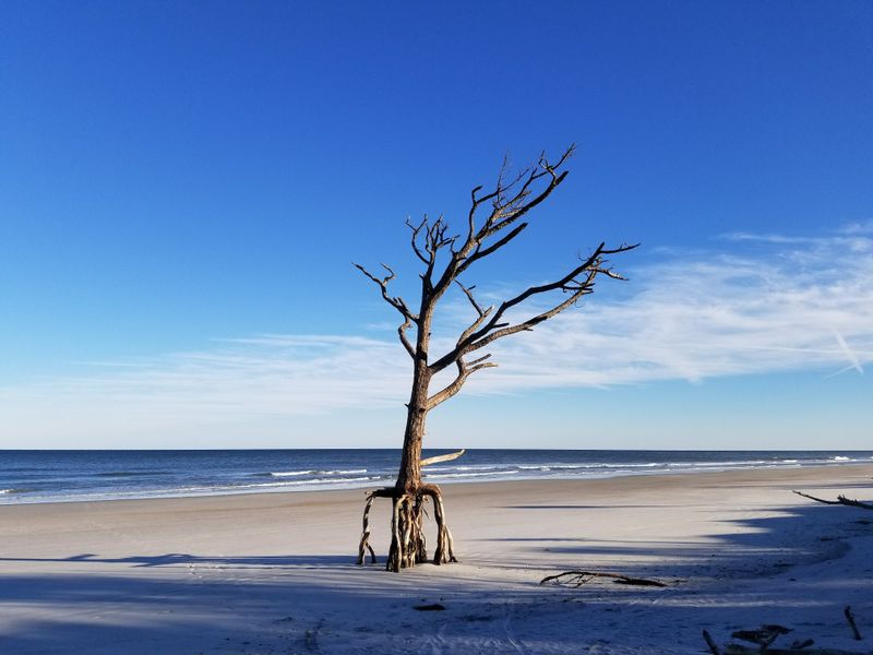 Little Talbot Island State Park