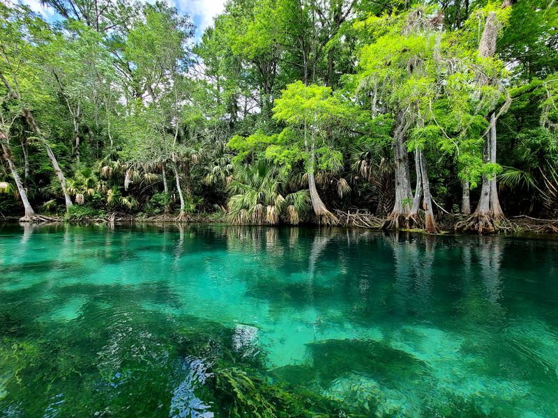 Silver Springs State Park
