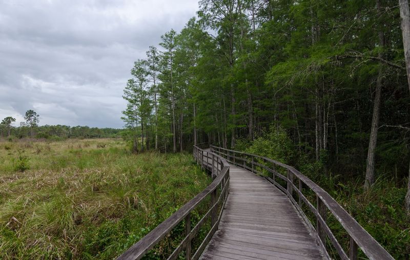 The Legendary Boardwalk Experience