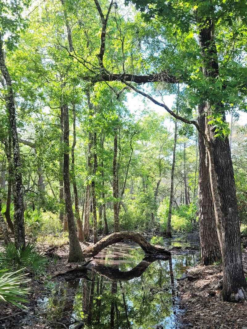 Practical Planning And Safety Tips