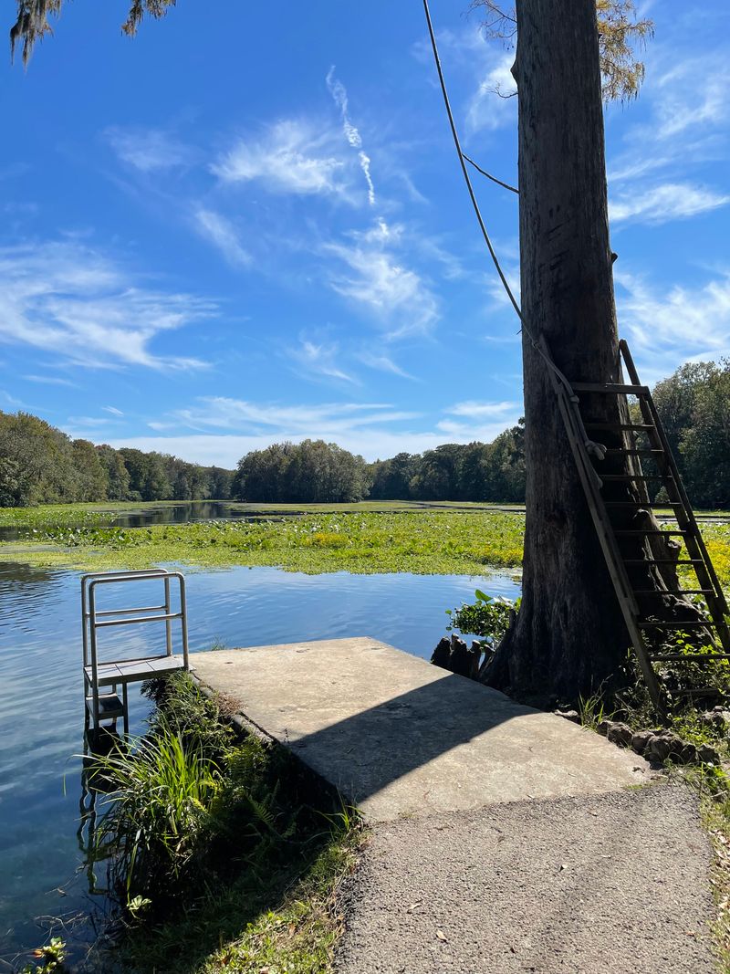 Wacissa River Springs (Wacissa)