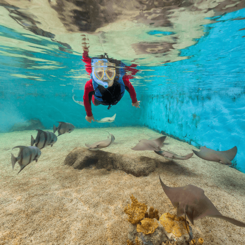 Local Tips And Nearby Highlights