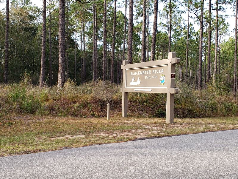 Blackwater Region - Juniper Creek Trail (Panhandle)
