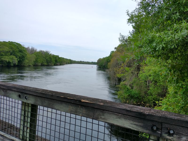 Nature Coast State Trail