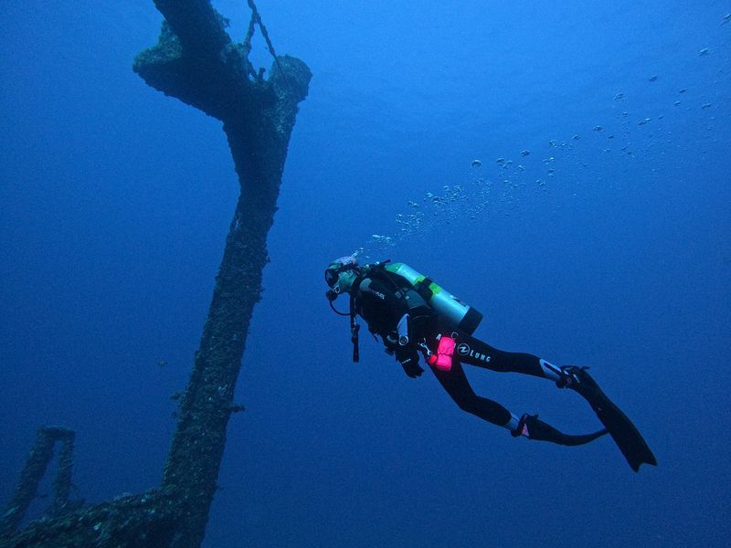 Snorkel Blue Heron Bridge (Phil Foster Park, Riviera Beach)
