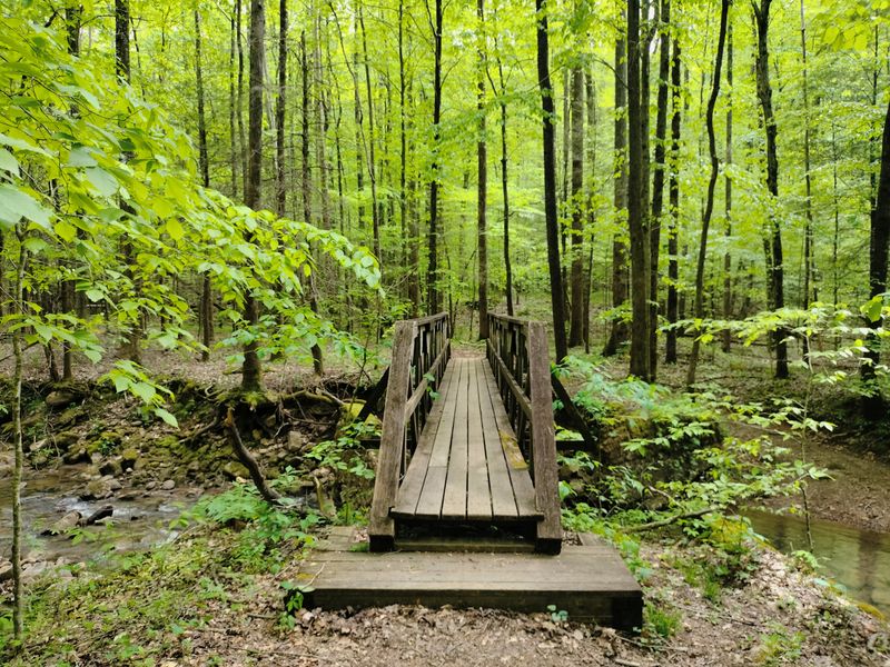 North Old Mac Trail (Frozen Head State Park)