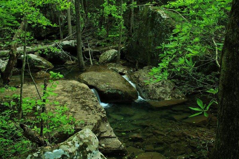 Big Laurel Falls Trail (Sparta)