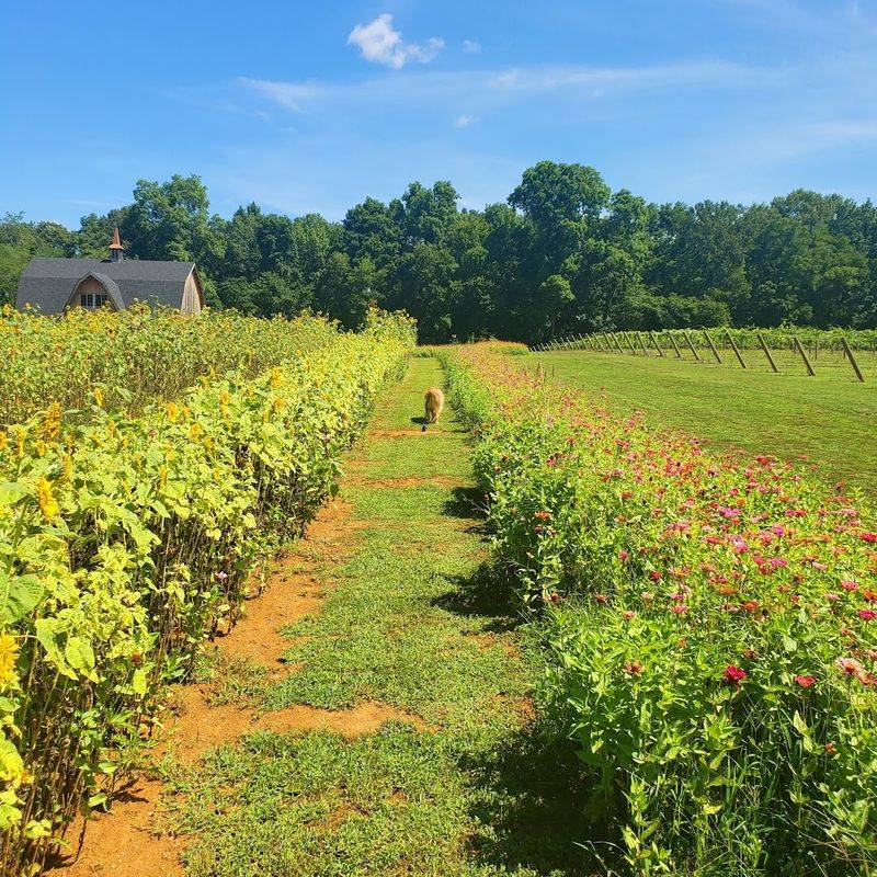 Picture-Perfect Views in Every Direction