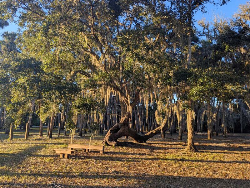 Lake Jesup Area (Seminole County)