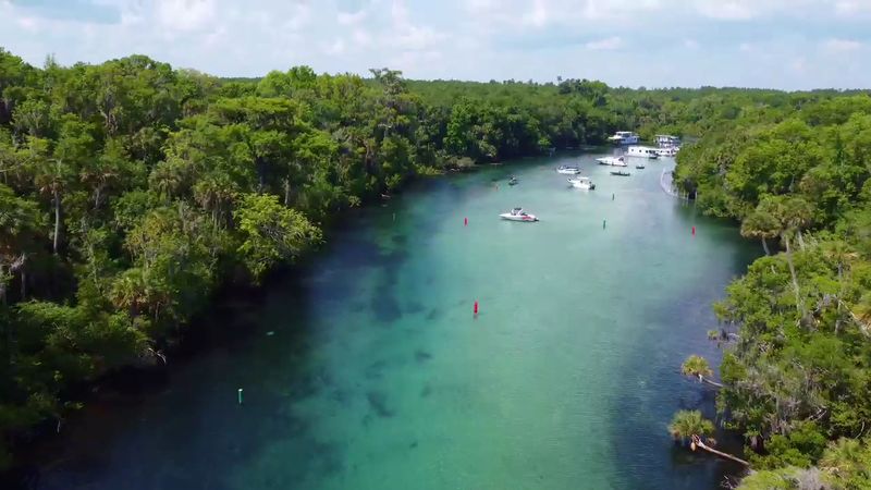 Silver Glen Springs (Ocala National Forest)