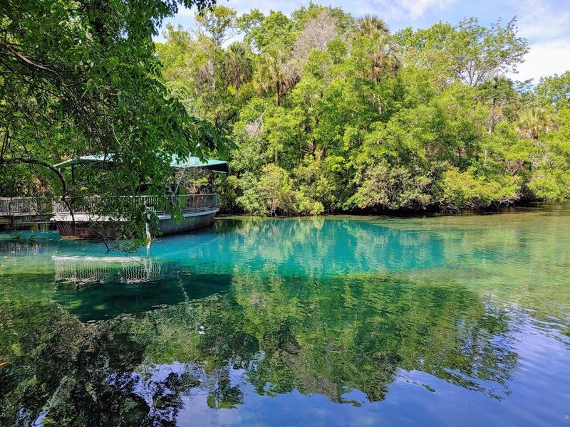 Homosassa Springs Wildlife State Park (Homosassa)