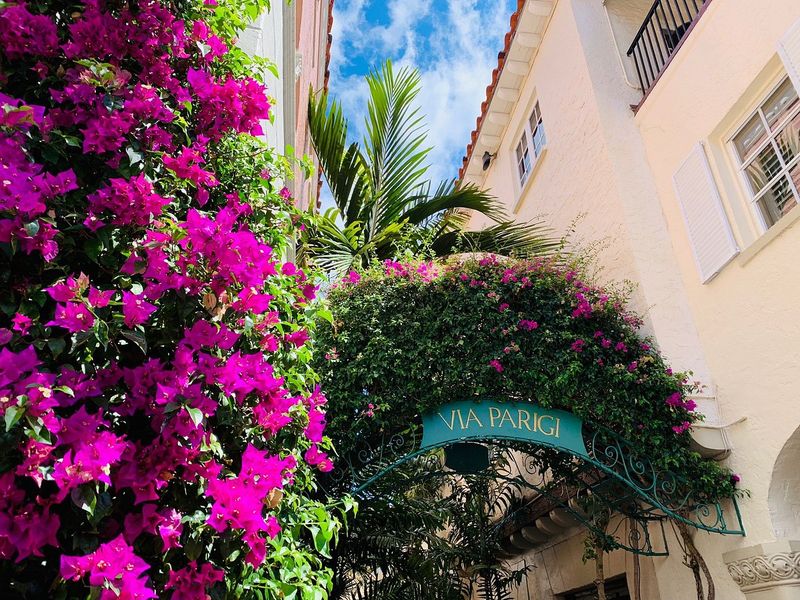 Via Parigi (Palm Beach)