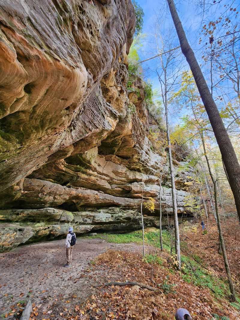 Why Big South Fork Is One of Tennessee's Most Magical Escapes