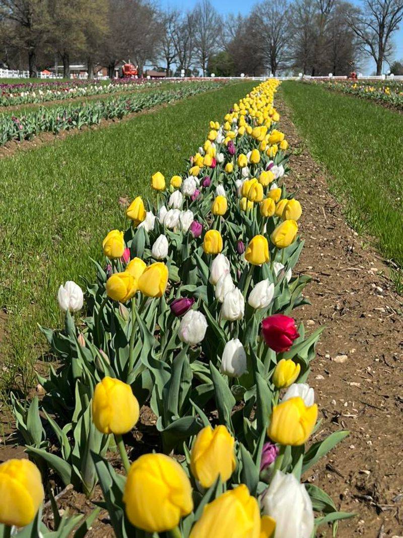 A Hidden Gem in West Tennessee Waiting to Be Discovered