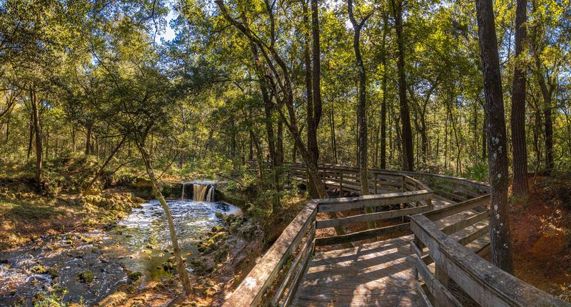 Boardwalk And Loop Trail Experience