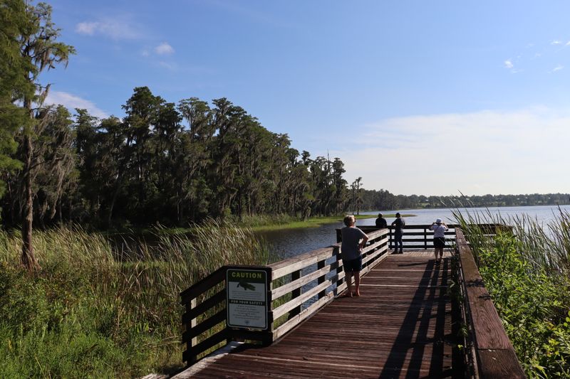 Day trip into nature at Lake Louisa State Park