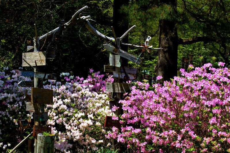 Oaklawn Garden &mdash; Germantown