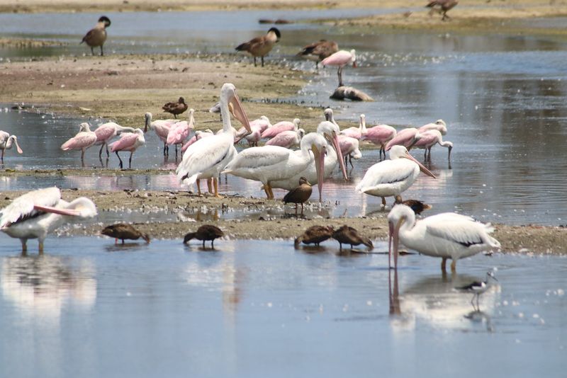 Big Talbot Island State Park