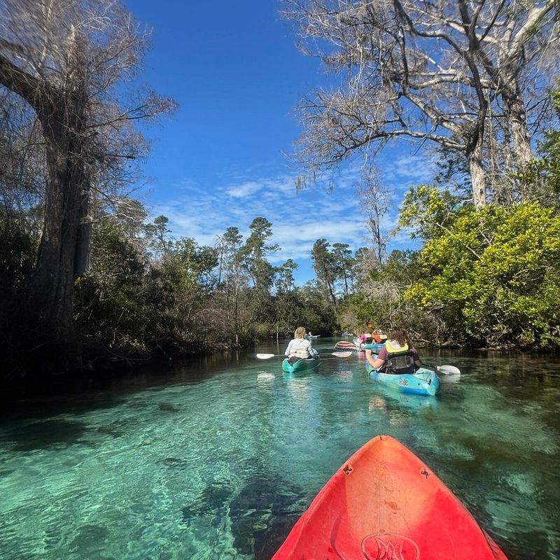 Weeki Wachee Springs State Park (Spring Hill area)