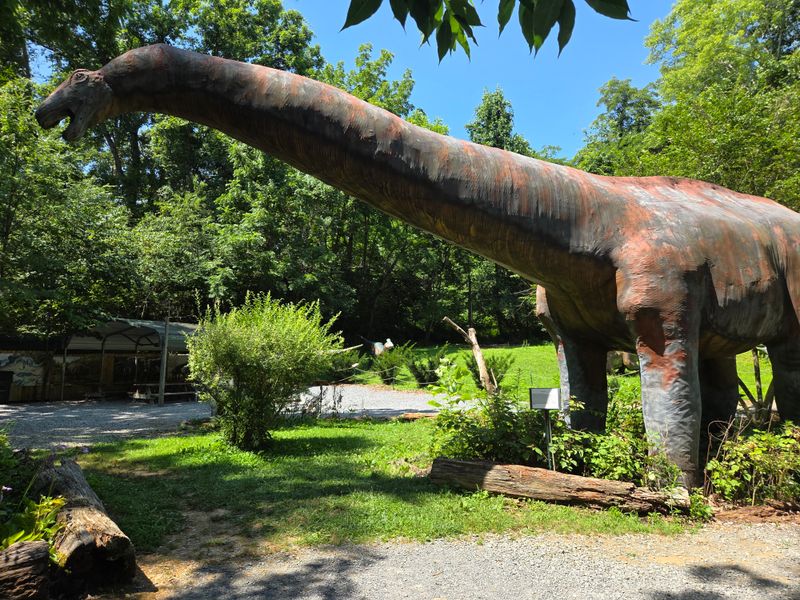 What Backyard Terrors Is Really Like