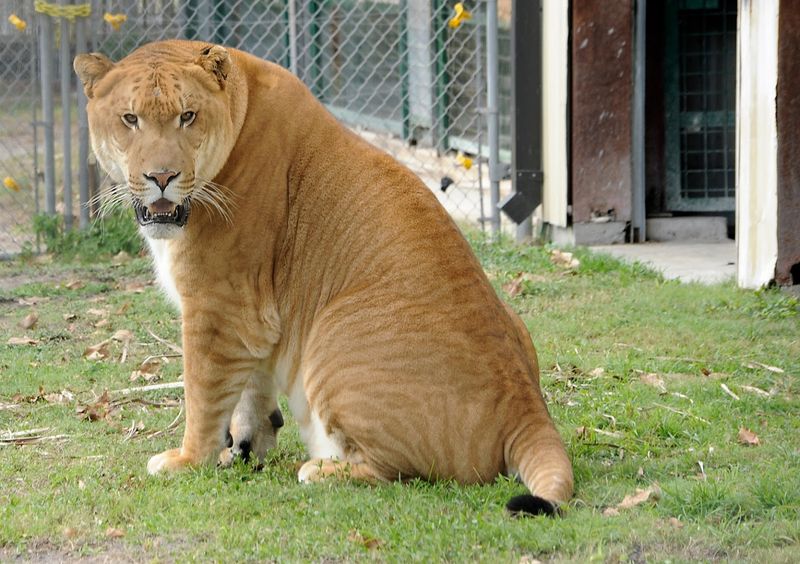 Education And Conservation In Action
