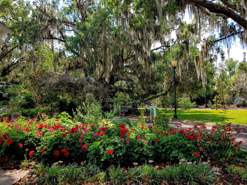 Harry P. Leu Gardens (Orlando)