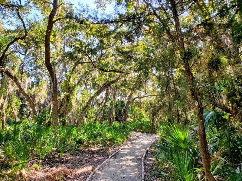 Oscar Scherer State Park Day Trip