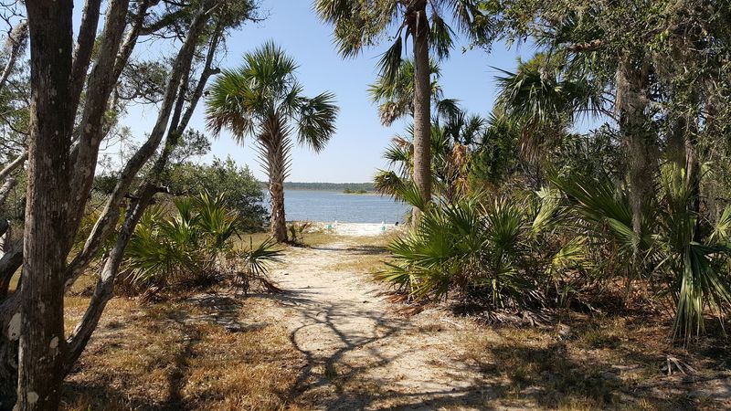 Washington Oaks Gardens State Park (Palm Coast)
