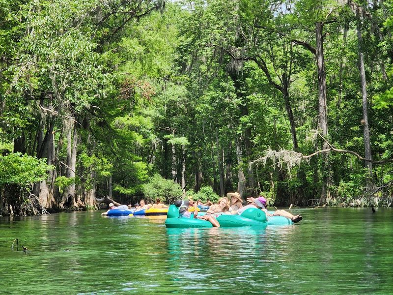 Float Ichetucknee Springs (tubing/kayak/canoe)