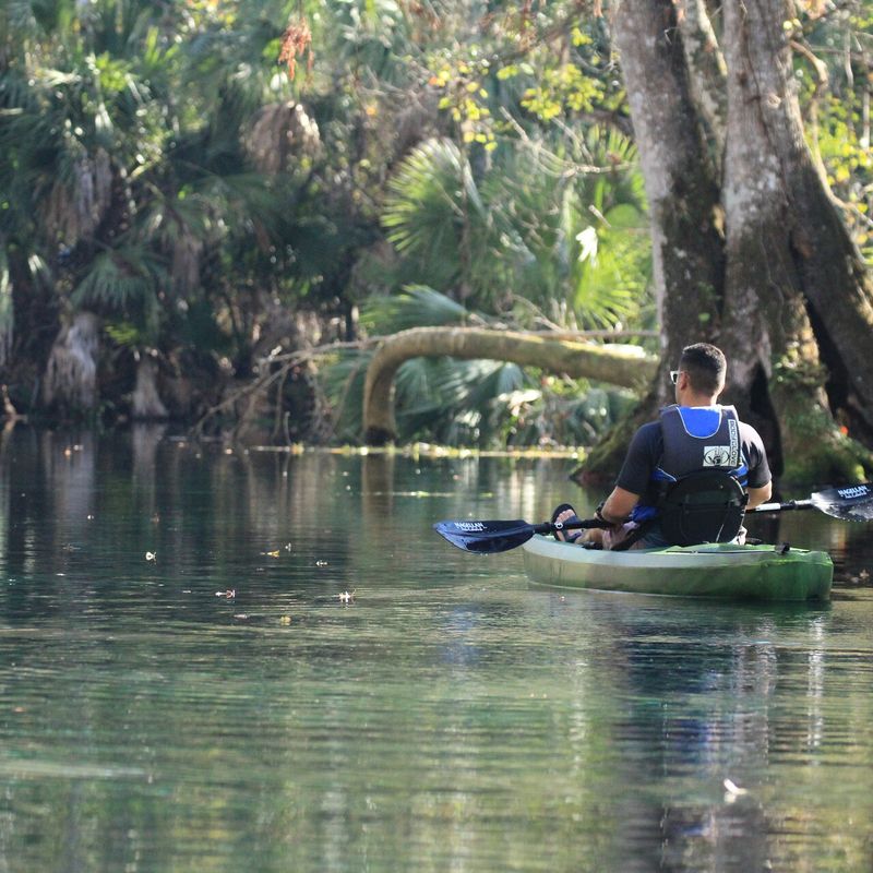 When to Go for the Best Experience (Season, Time of Day, Crowds)