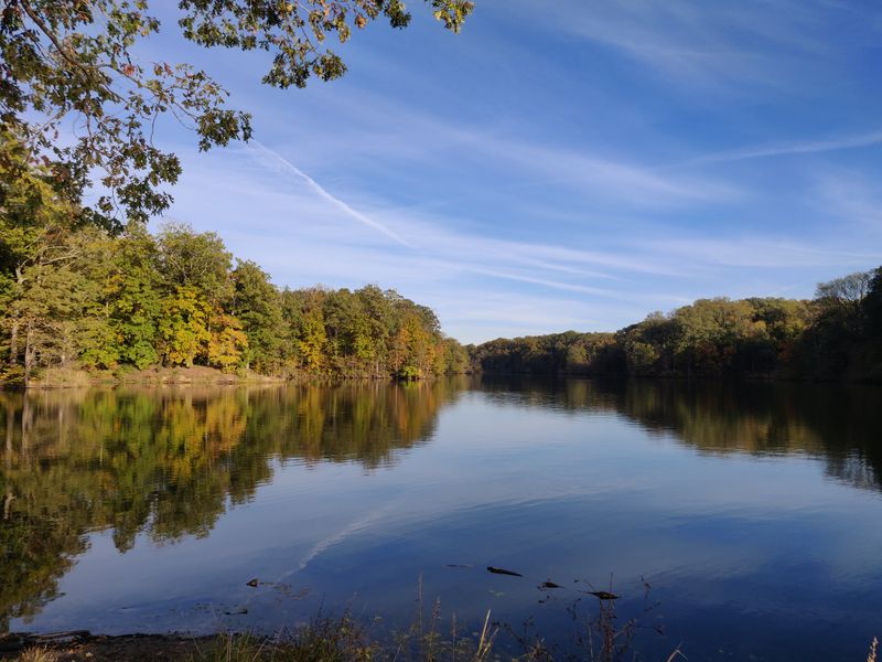 Kayak or Paddle on Poplar Tree Lake