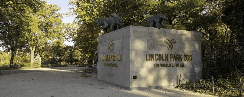 Lincoln Park Zoo - Chicago's Free Gem
