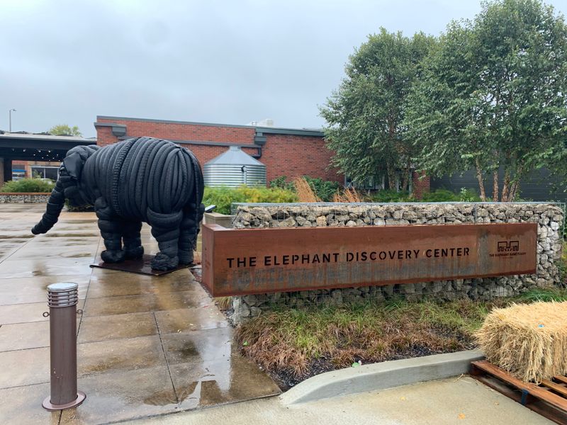 The Stories of the Elephants and How the Sanctuary Helps Them Heal