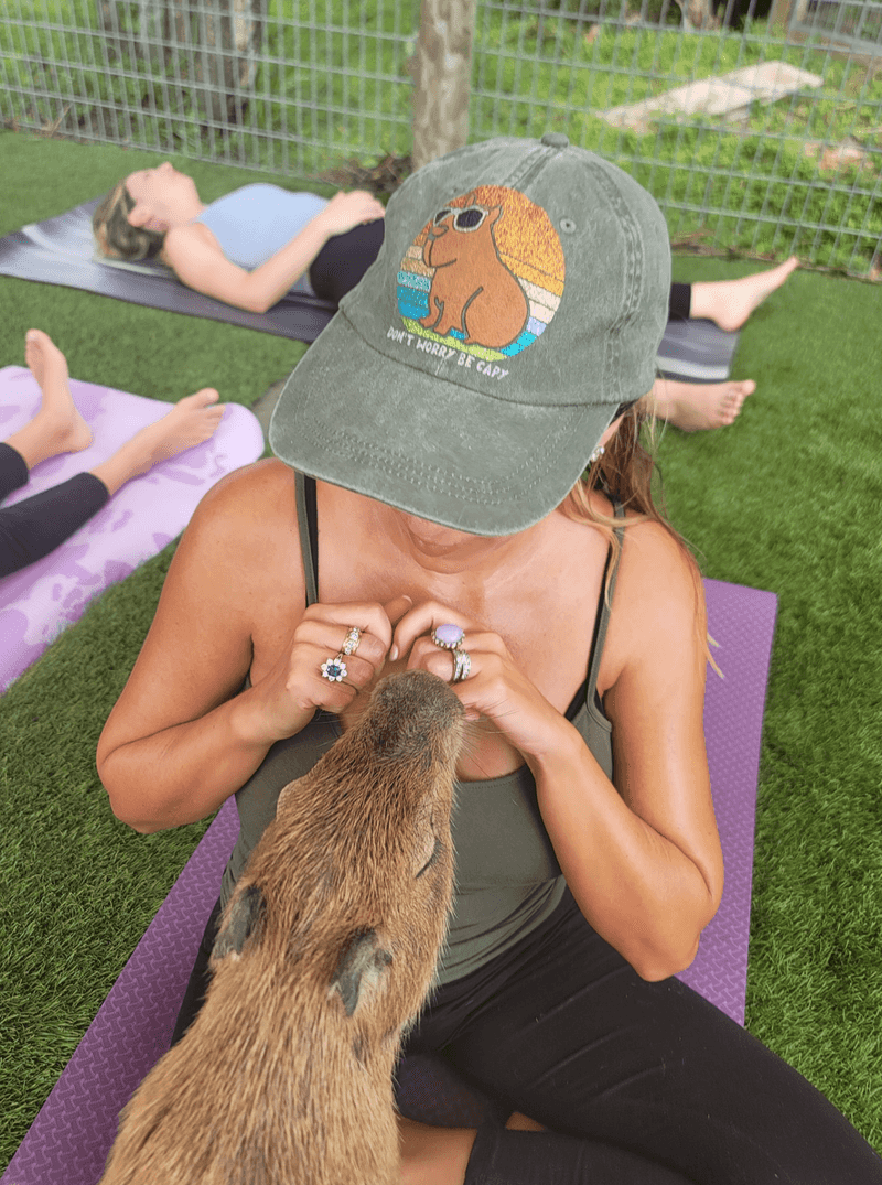 Big Cat Habitat (Sarasota)