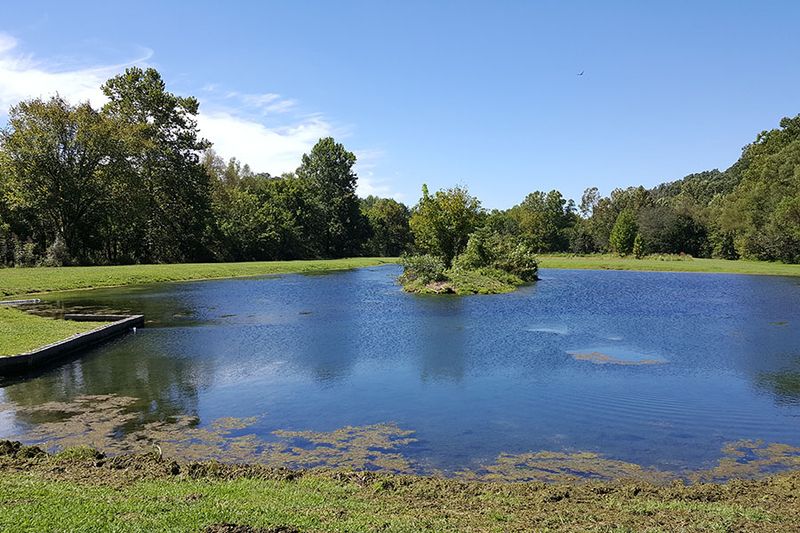 Sugar Creek and the Spring