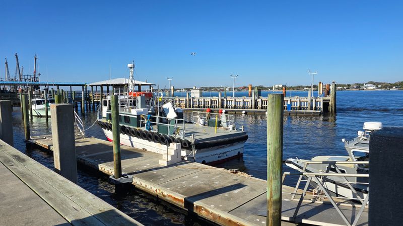 Safe Harbor Seafood Market (Atlantic Beach, FL)