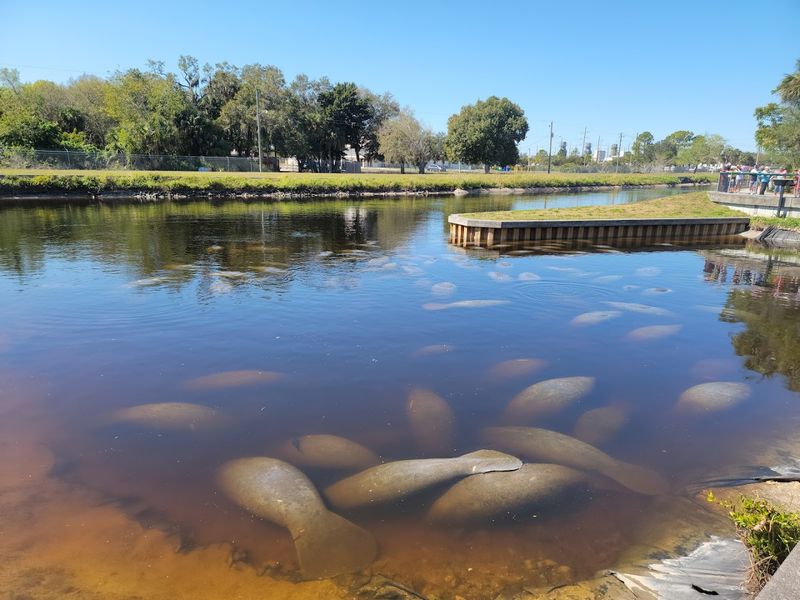 Manatee Park (Fort Myers)